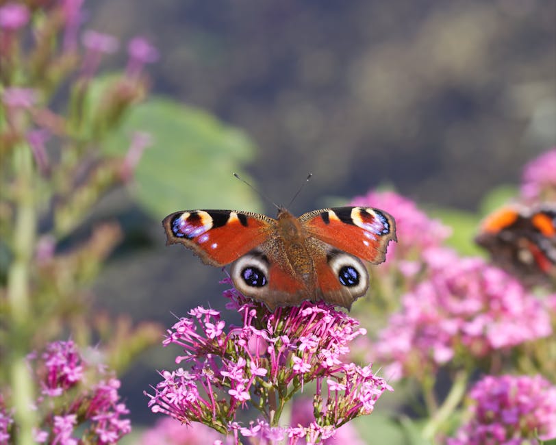 Making Your Garden Wildlife-Friendly: A Beginner's Guide